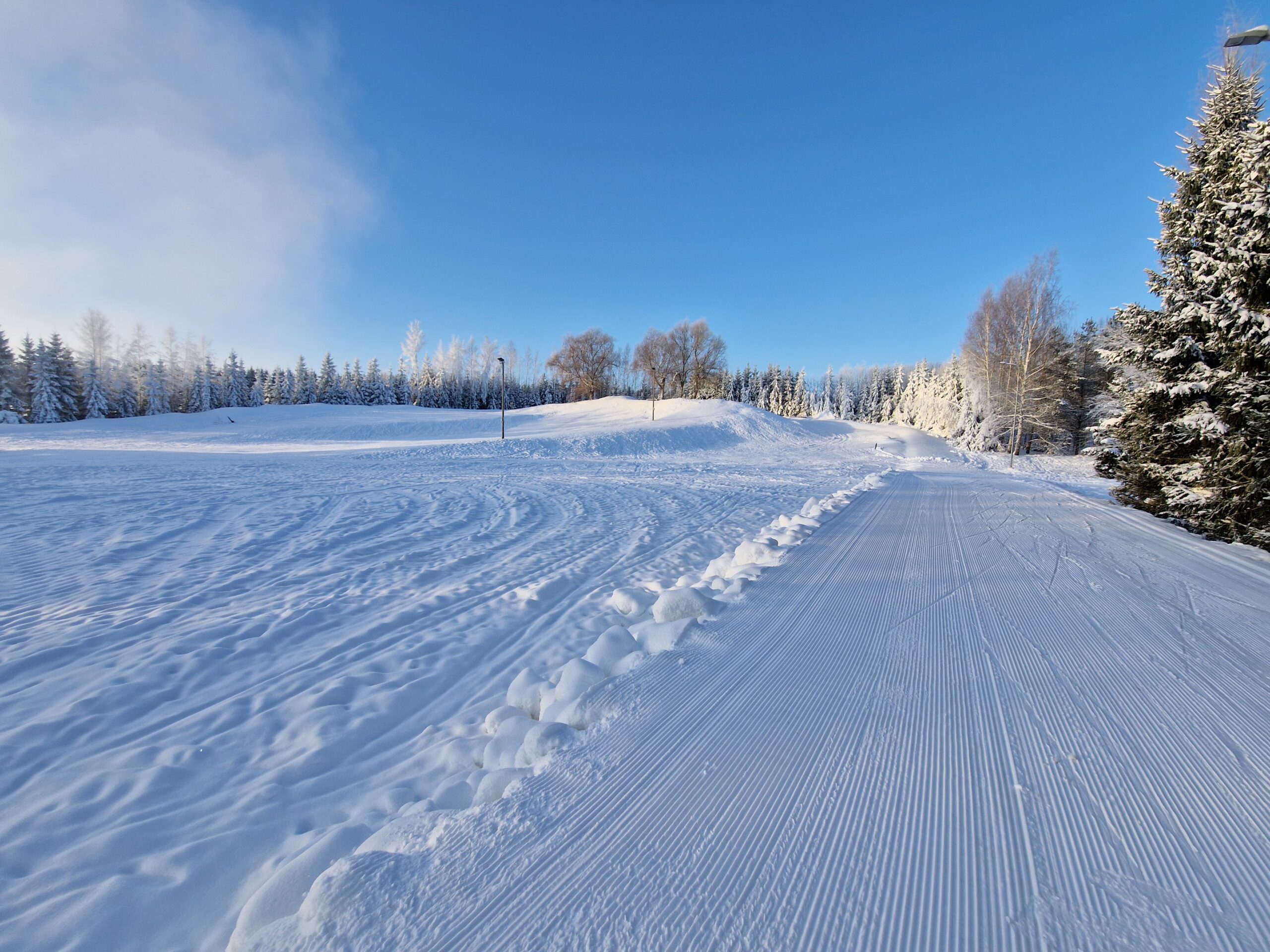 Tere tulemast Kuningamäele!